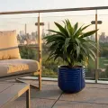 16" Large Round Ceramic Planter with Drainage, Dark Blue Indoor Outdoor Pot 2