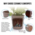 Set of 3 Handmade Taupe Ceramic Planters - 16/13/10 Inch Indoor/Outdoor Pots 4