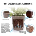 Set of 3 Handmade Taupe Ceramic Planters - 16/13/10 Inch Indoor/Outdoor Pots 4