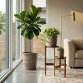 Set of 3 Handmade Taupe Ceramic Planters - 16/13/10 Inch Indoor/Outdoor Pots 2