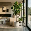 Handmade White Textured Ceramic Planter Set of 3, Indoor & Outdoor Pots 2