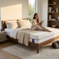Gelsea A&B Dual Firmness Gel Memory Foam Mattress with Cooling Cover 3