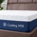 Gelsea 10 Inch Cooling Gel Memory Foam Mattress - Pressure Relief Support 2