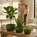 Handmade Glazed Ceramic Planter Set of 3, Hammered Green Garden Pots 2