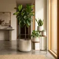4-Piece Handmade Ceramic Planter Set - Minimalist Matte Texture, Indoor & Outdoor Use 2