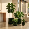 Deep Green Handmade Ceramic Planter Set of 4 - Breathable Clay for Succulents 2
