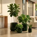 Deep Green Handmade Ceramic Planter Set of 4 - Breathable Clay for Succulents 2