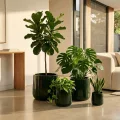 Deep Green Handmade Ceramic Planter Set of 4 - Breathable Clay for Succulents 2
