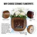 Set of 3 Handmade Glazed Ceramic Planters - 9in/7in/5in, Diamond Pattern Terracotta Brown 5