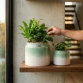 Handmade Gradient Ceramic Hydroponic Planter Set of 2, 8.5-Inch and 6-Inch 2