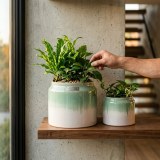 Handmade Gradient Ceramic Hydroponic Planter Set of 2, 8.5-Inch and 6-Inch thumbnail 2