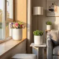 Set of 3 Handmade White Textured Ceramic Planters (5.51"-9.65"), Indoor/Outdoor Pots for Succulents and Herbs 2