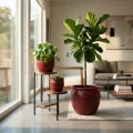 3-Piece Crimson Embossed Floral Ceramic Planter Set - 15/12/9 Inch Orchid Pots 2