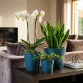 Set of 3 Handmade Blue Textured Ceramic Planters (15/12/9 inches) Breathable Flower Pots 3