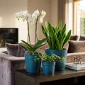 Set of 3 Handmade Blue Textured Ceramic Planters (15/12/9 inches) Breathable Flower Pots 3