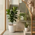 Set of 3 Handmade Ceramic Planters - White Diamond Pattern, 15/12/9 Inch 3