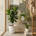Set of 3 Handmade Ceramic Planters - White Diamond Pattern, 15/12/9 Inch 3